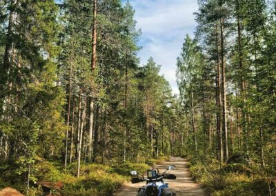 voyage moto cap nord forest off road