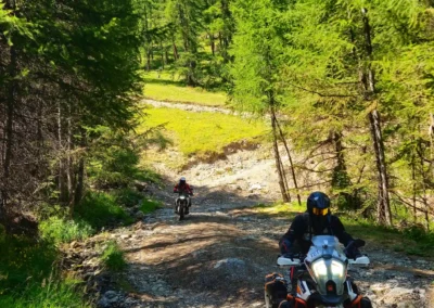 Adventure motorcycles riding a rocky forest track in the Balkan mountains.
