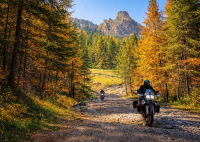 Two ADV riders descending a rocky forest trail surrounded by autumn colors in the Balkan mountains.