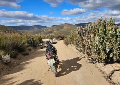 Adventure motorcycle parked on a dirt trail beside flowering proteas in South Africa.